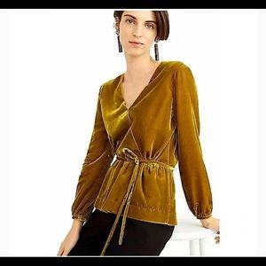 J.Crew Velvet Blouse